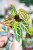 Anthurium Snow queen-5.jpg
