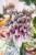 Begonia Maori Haze-1.jpg