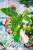 Philodendron Jose Buono-4.jpg