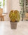 d8b32624-6184-47ed-ab99-60a674132247.png