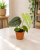ffd91856-2c34-4878-aa20-a8c23fa36971.png