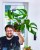 Monstera Burle Marx Flame-23.jpg