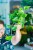 RN0A1699 (1) (1).jpg