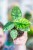 Alocasia Dragon Scale Mint-1.jpg