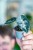 Alocasia Ninja Mint Variegata-2.jpg