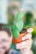 Philodendron Burle Marx Fantasy-2.jpg