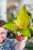 Philodendron MArs-1.jpg