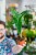 Alocasia Reticualat-1.jpg