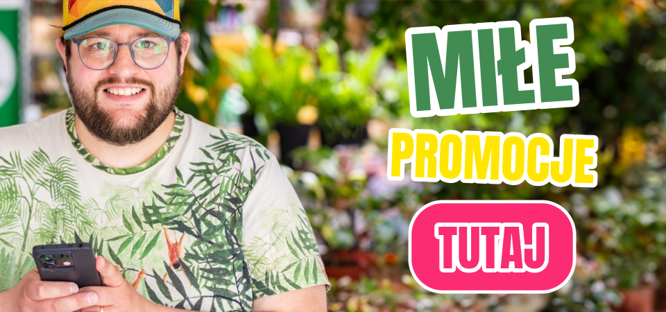 promocje
