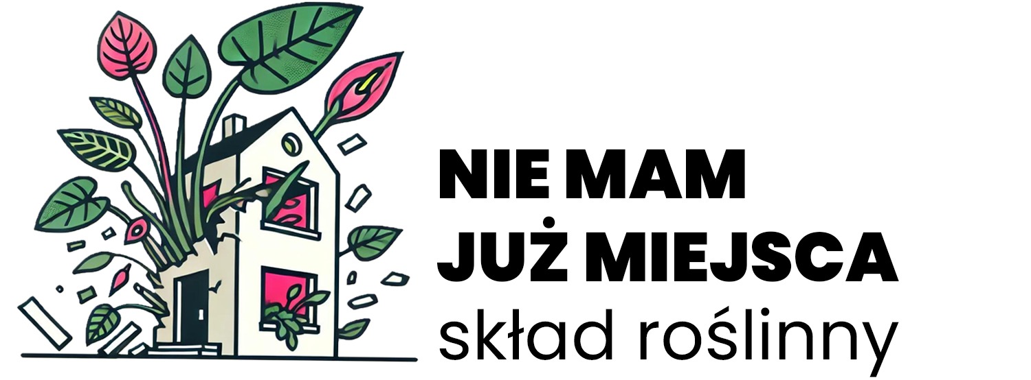 Shoper demo brak logo - strona główna