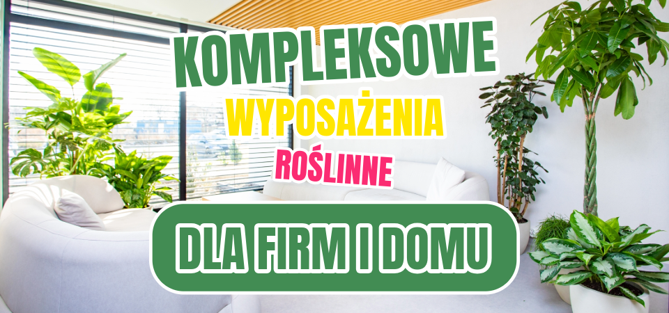 wyposażenie