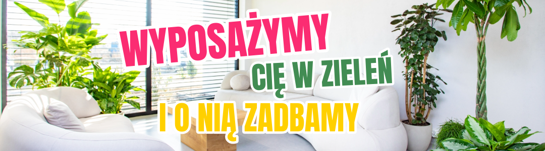 rośliny do wnętrz
