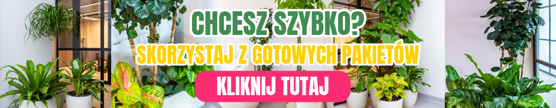skorzystaj z gotowych pakietów